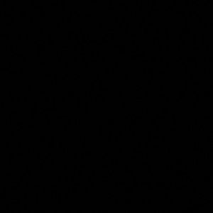 Meet your Posher, Sierra